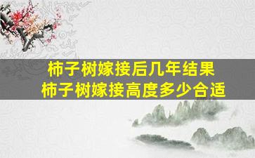 柿子树嫁接后几年结果 柿子树嫁接高度多少合适